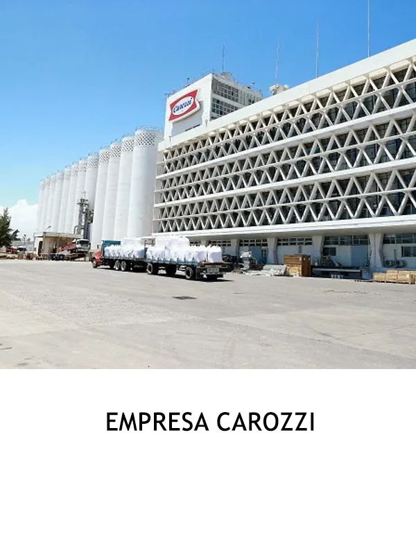 Proyecto 4